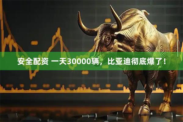 安全配资 一天30000辆，比亚迪彻底爆了！